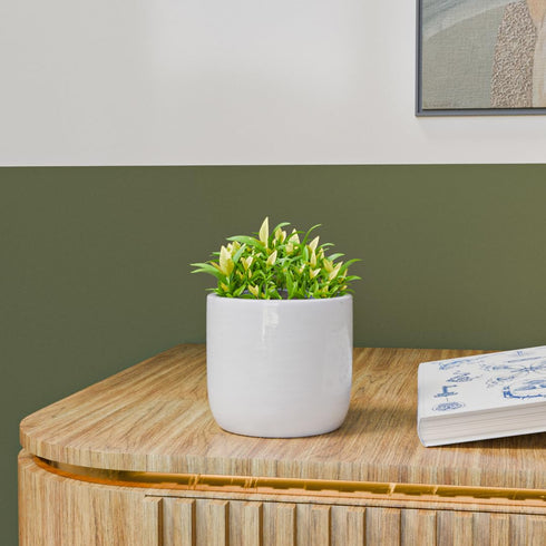 White Cylindrical Ceramic Clay Pots - The Earth Store - Planter